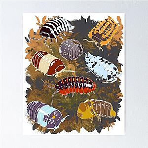 Isopod Collection Poster