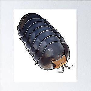 Cubaris "Pak Chong" Isopod Poster