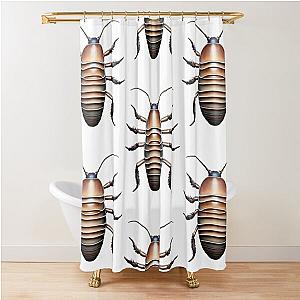 Dairy Cow Isopod - Realistic Top View Drawing  Shower Curtain