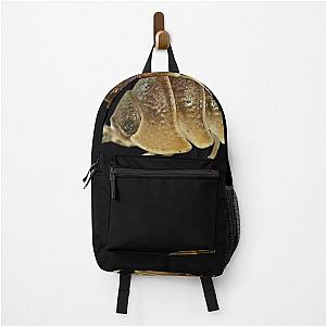 "Rubber ducky isopod" cute oil painting of isopod. Backpack