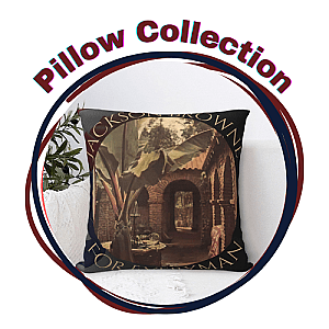 Jackson Browne Pillows