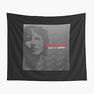 James Blunt back to bedlam Tapestry