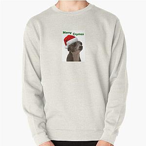 Jenna Marbles Kermit Christmas - Merry Crymas Pullover Sweatshirt