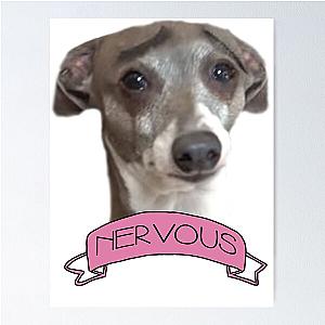 Kermit is Nervous Jenna Marbles Dog  Poster