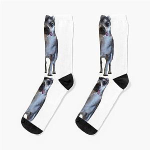 Mr Marble Jenna Marbles Socks