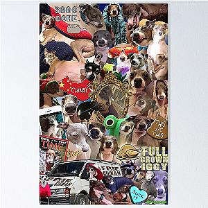 Jenna Marbles Kermit Collage Poster