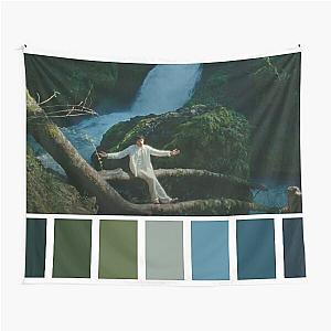 Jeremy Zucker 'OK' color sceme Tapestry