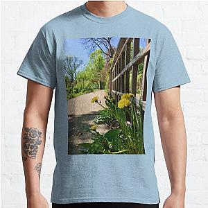 Dandelion Growing by a Wooden Fence Classic T Shirt RB0301