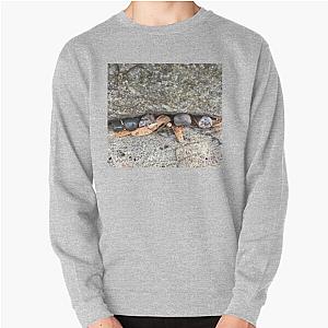 Pebbles and Seeds in a Crevasse Between Two Rocks Pullover Sweatshirt RB0301