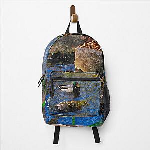 Arc of Rocks in a Creek Backpack RB0301