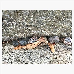 Pebbles and Seeds in a Crevasse Between Two Rocks Jigsaw Puzzle RB0301