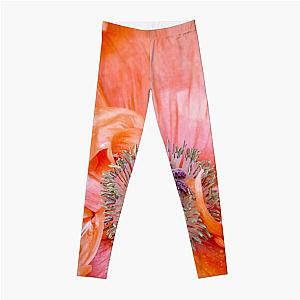 Brilliant Orange Oriental Poppy Flower Up Close Leggings RB0301