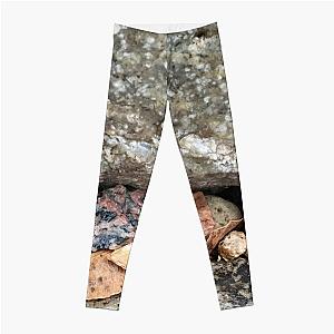 Pebbles and Seeds in a Crevasse Between Two Rocks Leggings RB0301