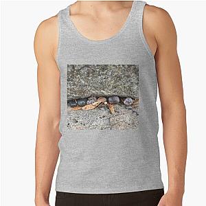 Pebbles and Seeds in a Crevasse Between Two Rocks Tank Top RB0301