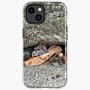 Pebbles and Seeds in a Crevasse Between Two Rocks iPhone Tough Case RB0301