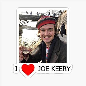 I Love Joe Keery Sticker