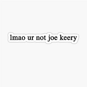 ur not Joe Keery sticker