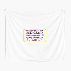 John Mulaney I'm very small and have no money Quote Tapestry