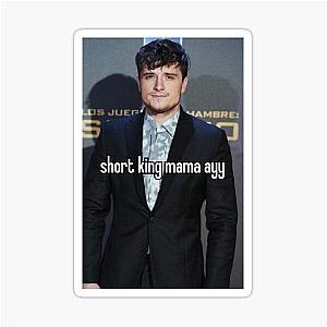 JOSH HUTCHERSON Sticker