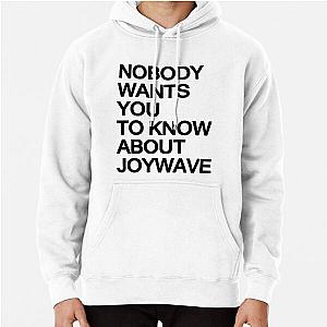 Joywave Merch Nobody Wants You To Know About Joywave Pullover Hoodie