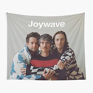 Just Joywave  Tapestry