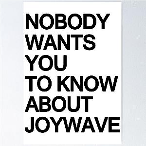 Joywave Merch Nobody Wants You To Know About Joywave Poster
