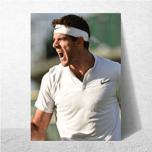 Del Potro's Comeback Code Juan Martin Del Potro Posters