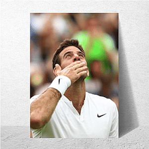Strike Fast – Del Potro Way Juan Martin Del Potro Posters