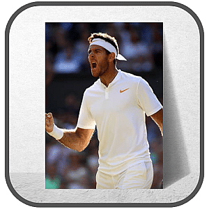 Juan Martin Del Potro Posters