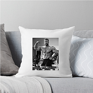 Julian Smith Always Aesthetic Always Unique Julian Smith Pillows Cover