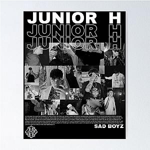 Collage junior h Poster