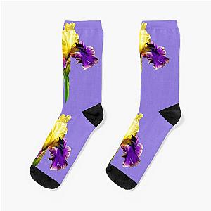 Jurassic Park Bearded Iris  Socks