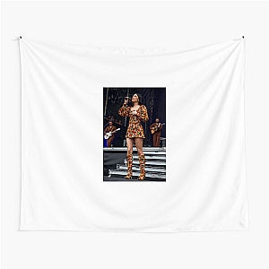 Kacey Musgraves Grammy Winning Vibes Kacey Musgraves Tapestries