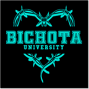 Bichota University Poster 0509