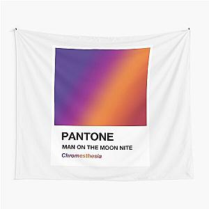 Kid Cudi - Man on the Moon Album - Pantone Color Card - Custom Art Tapestry