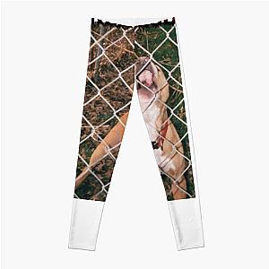 Knocked Loose Band Album  Legging Premium Merch Store