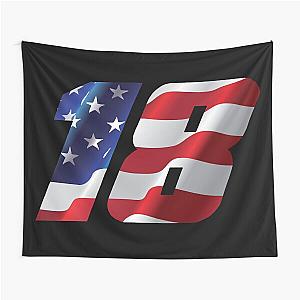 Kyle Busch USA Tapestry