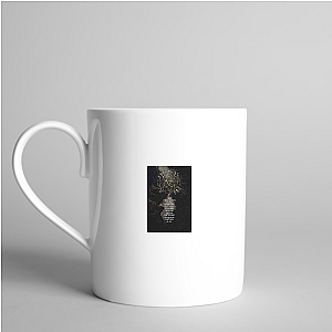 La Dispute Rooms Of The House La Dispute Mugs
