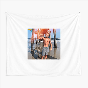 Lance = Peak Chaos Lance Stewart Tapestries