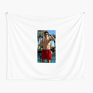 Lance Stroll Unforgettable Moments Lance Stroll Tapestries