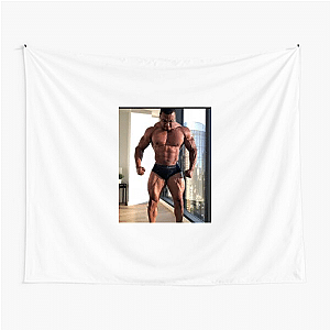 Unstoppable Like Larry Wheels Larry Wheels Tapestries