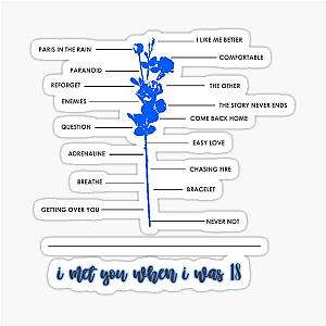 Lauv - I Met You When I Was 18 Sticker