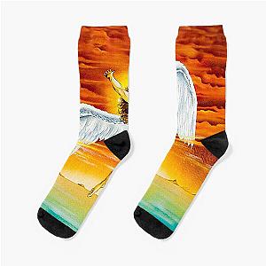 LedLZ Socks