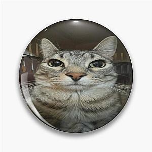 Cat looking directly at you Pin