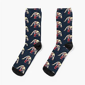 Miss Lexa pug dog Socks