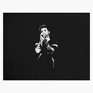 Liam Payne Music Puzzle