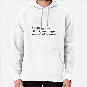Our Liam Payne grown up Pullover Hoodie