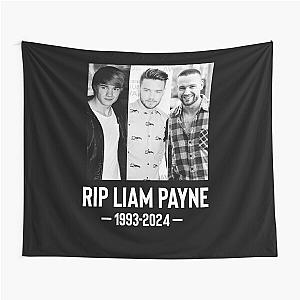Liam Payne 
1993 - 2024 Tapestry