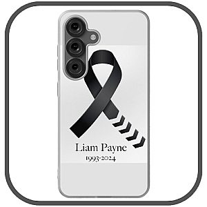 Liam Payne Cases