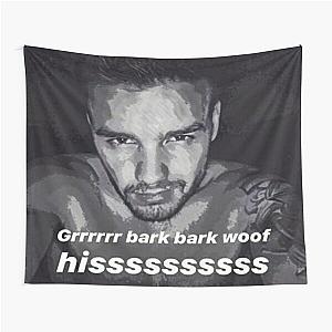 Liam Payne meme Tapestry